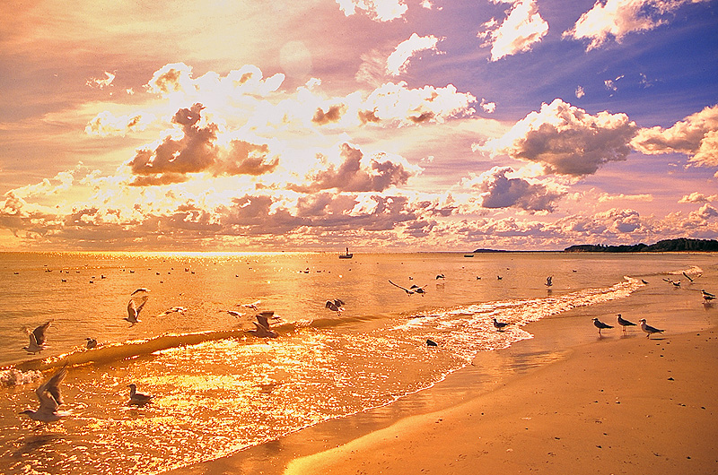 zur &Uuml;bersicht Wasser 9