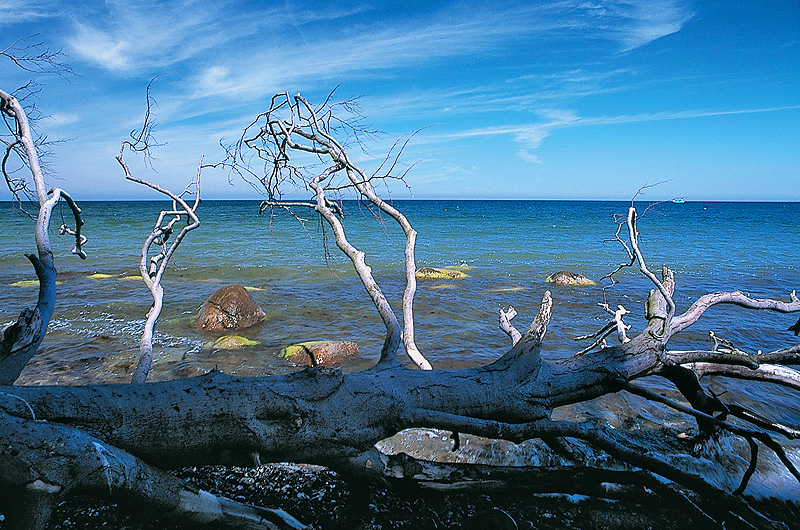 zur &Uuml;bersicht Wasser 9