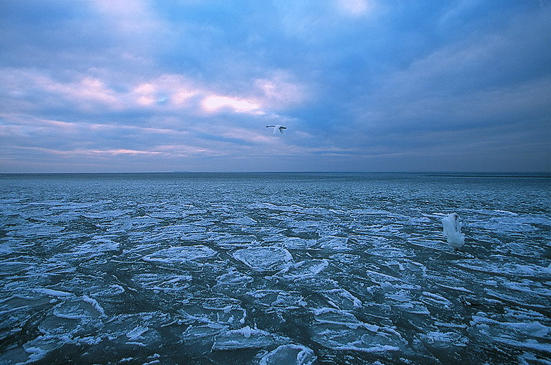 zur &Uuml;bersicht Wasser 10