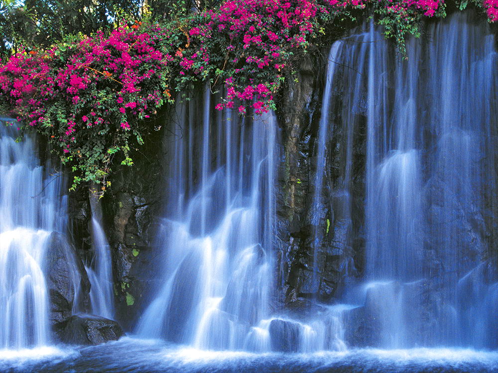 zur &Uuml;bersicht Wasser 11