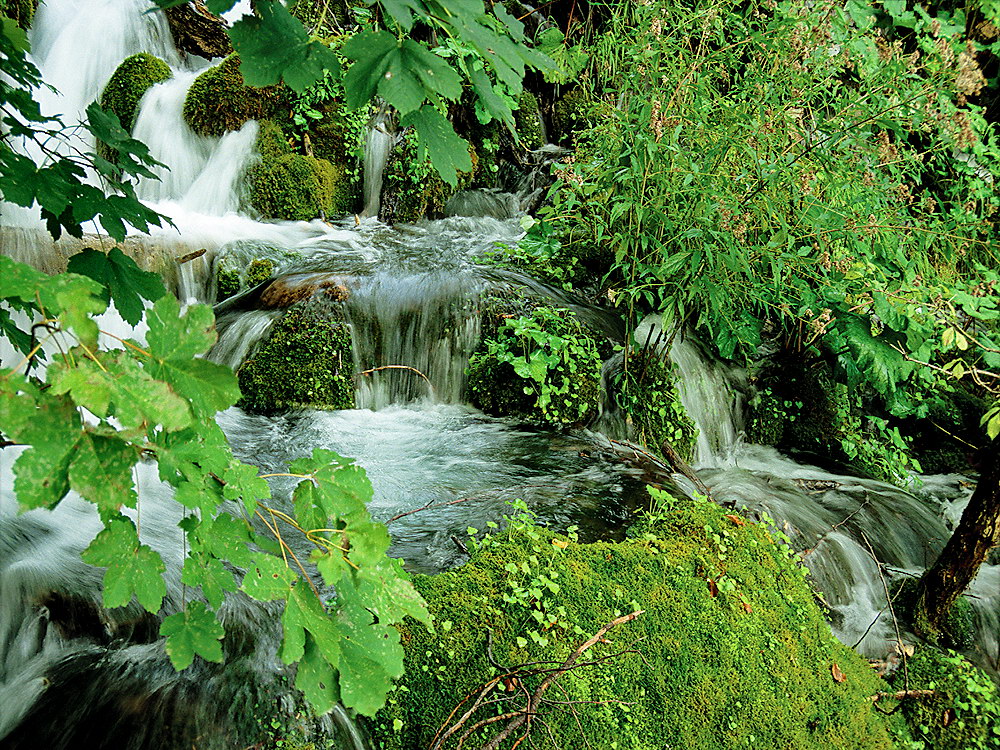 zur &Uuml;bersicht Wasser 11