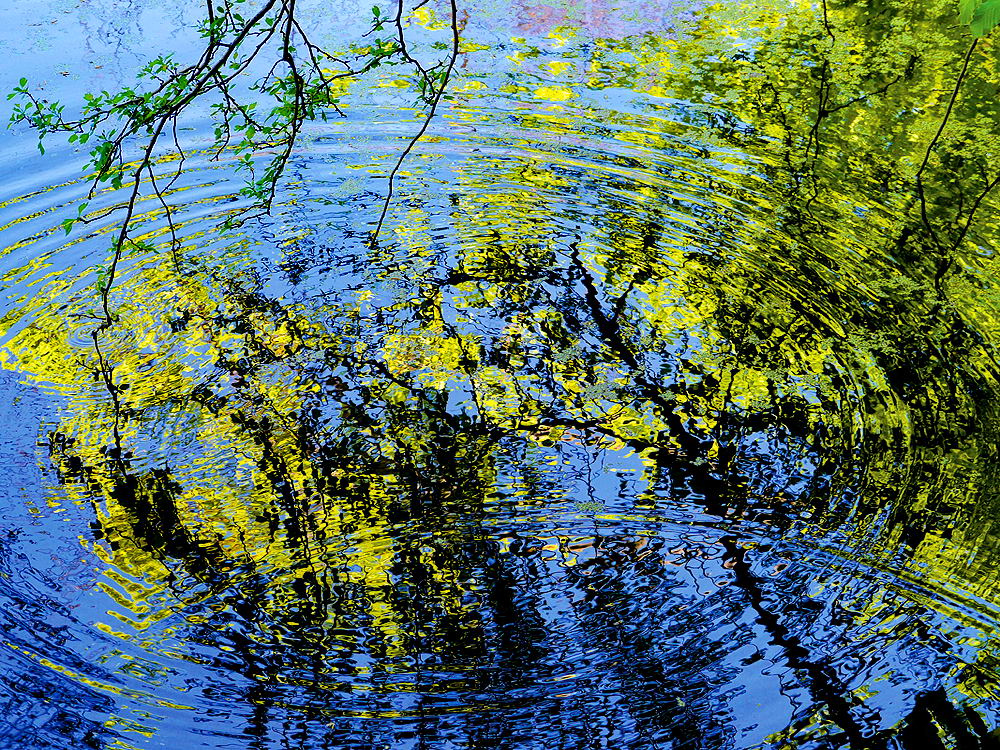 zur &Uuml;bersicht Wasser 11