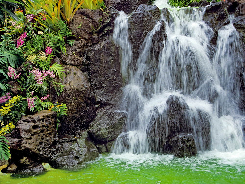 zur &Uuml;bersicht Wasser 11