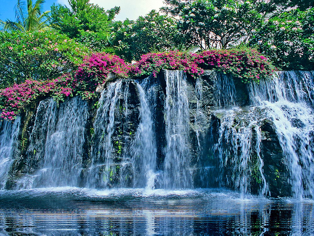 zur &Uuml;bersicht Wasser 11