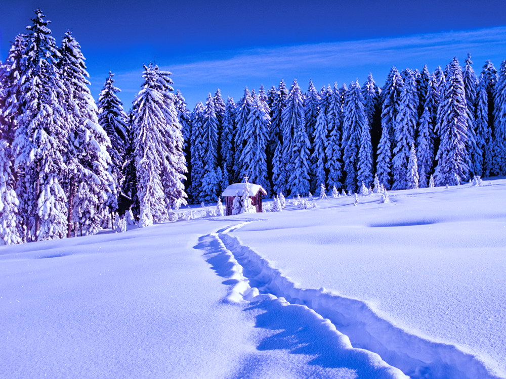 zur &Uuml;bersicht Spuren 2 