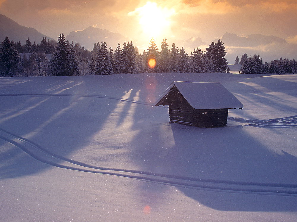 zur &Uuml;bersicht Spuren 2 