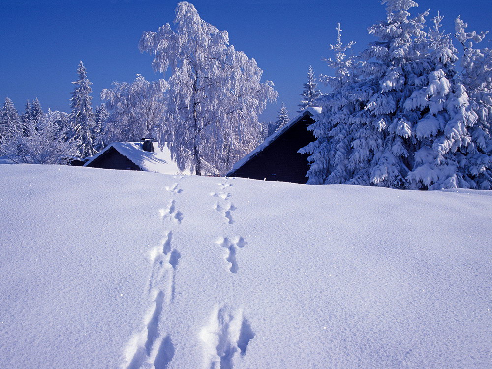 zur &Uuml;bersicht Spuren 2 