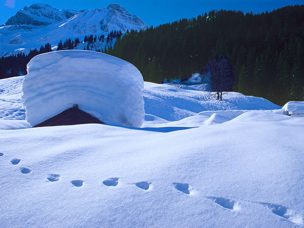 zur &Uuml;bersicht Spuren 2 