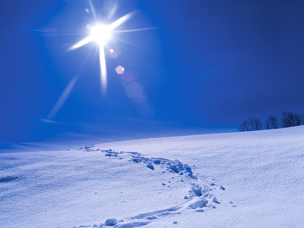 zur &Uuml;bersicht Spuren 2 