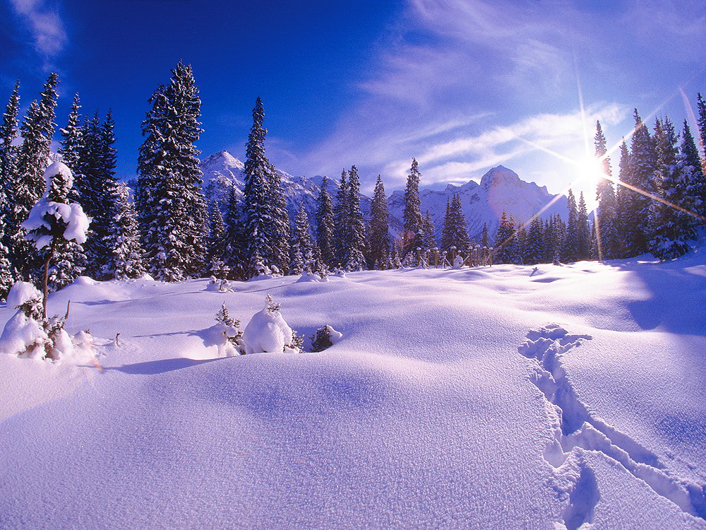 zur &Uuml;bersicht Spuren 2 