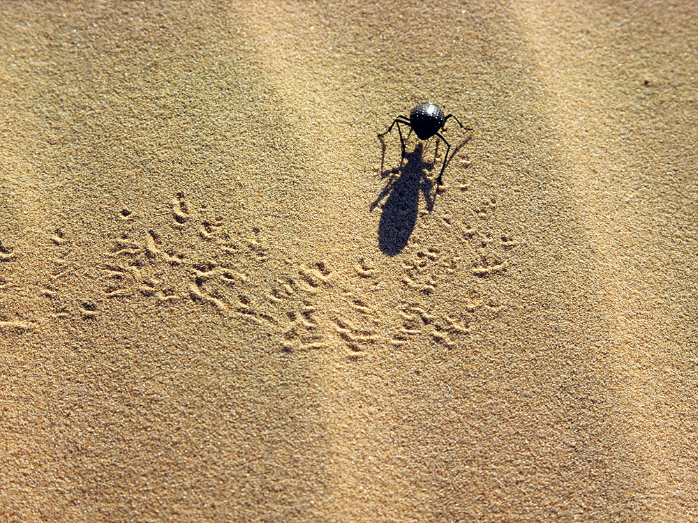 zur &Uuml;bersicht Spuren 3
