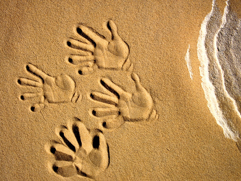 zur &Uuml;bersicht Spuren 3