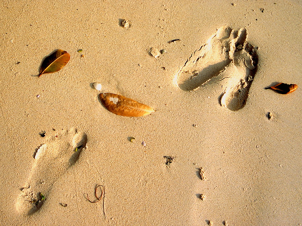 zur &Uuml;bersicht Spuren 3