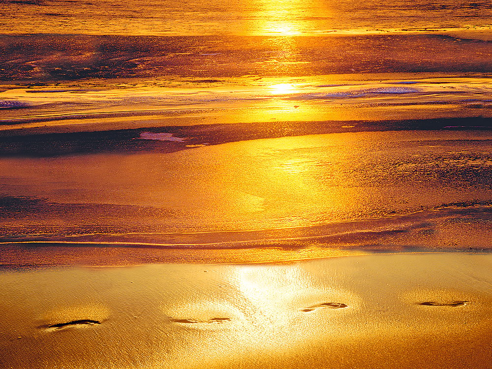 zur &Uuml;bersicht Spuren 3