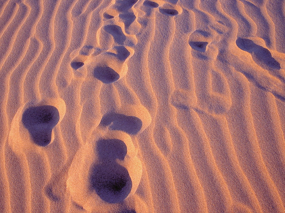 zur &Uuml;bersicht Spuren 3