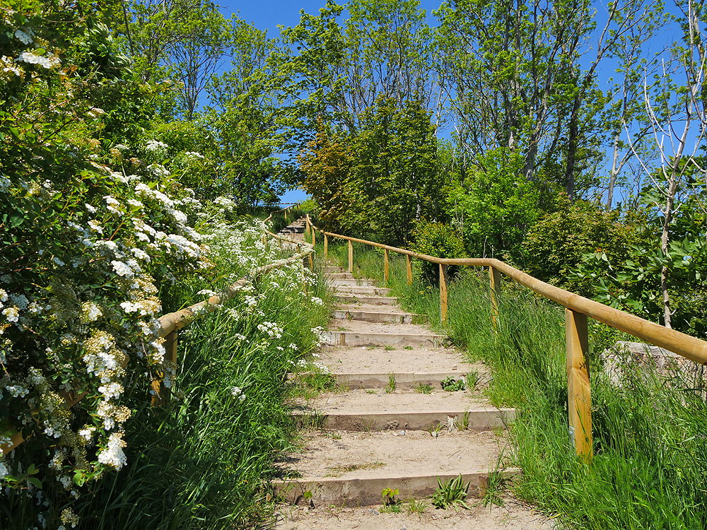 zur &Uuml;bersicht Stufen 3