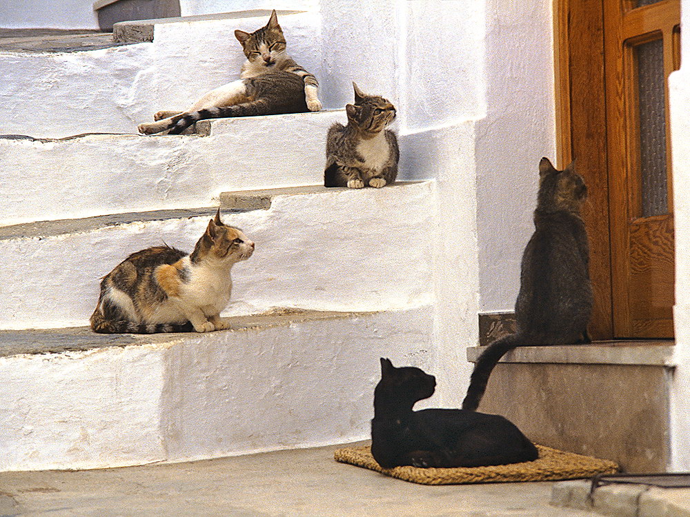 zur &Uuml;bersicht Stufen 3