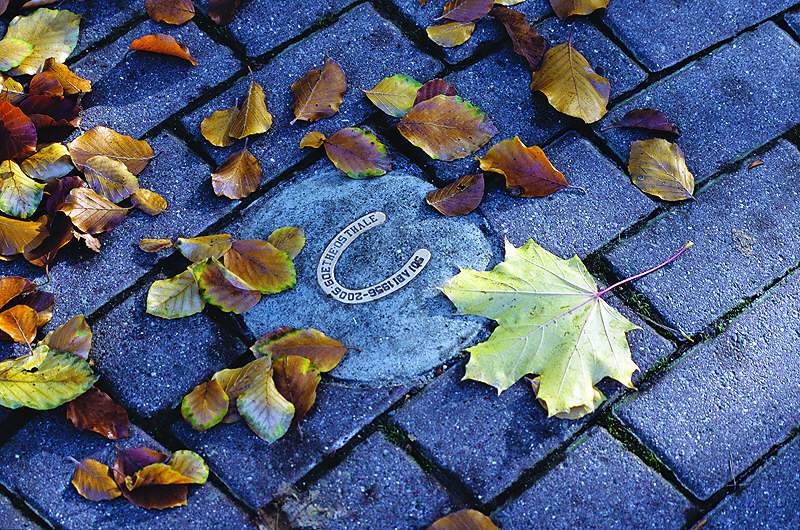 zur &Uuml;bersicht Weg & Steg 4