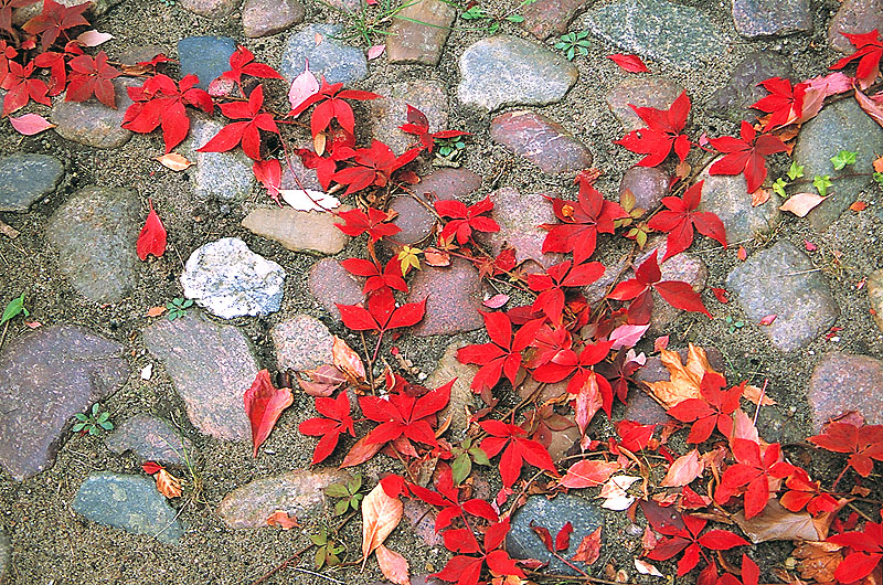 zur &Uuml;bersicht Weg & Steg 4