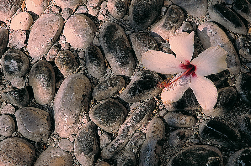 zur &Uuml;bersicht Weg & Steg 4