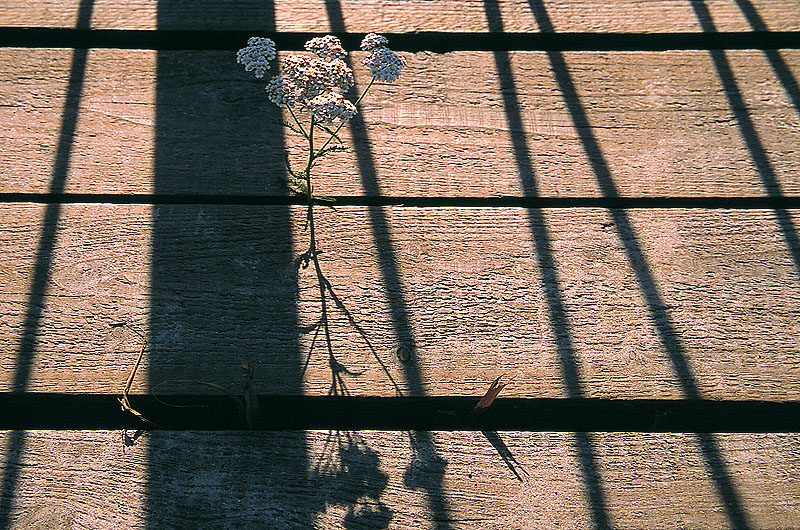 zur &Uuml;bersicht Weg & Steg 4