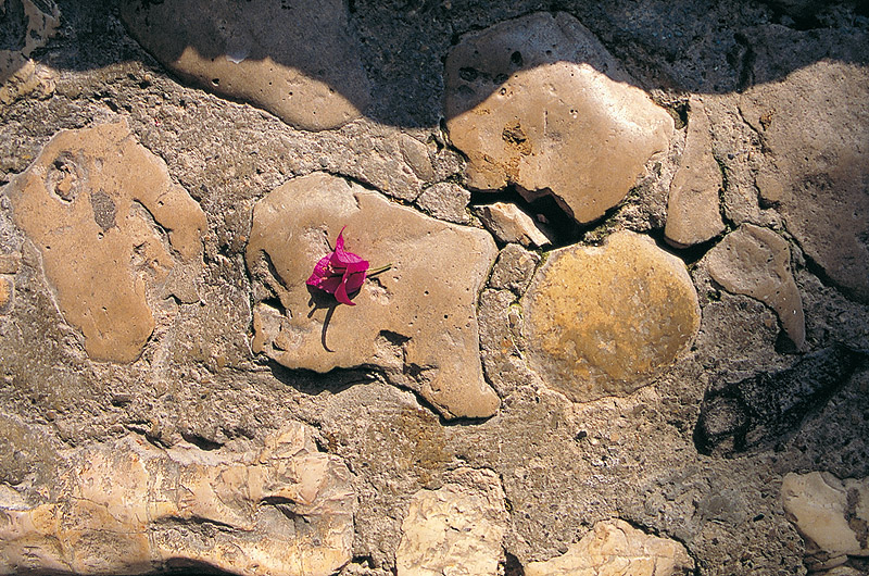 zur &Uuml;bersicht Weg & Steg 4