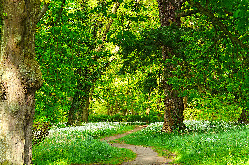 zur &Uuml;bersicht Weg & Steg 5