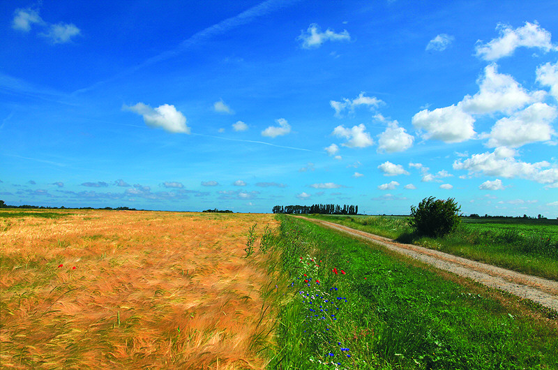zur &Uuml;bersicht Weg & Steg 5