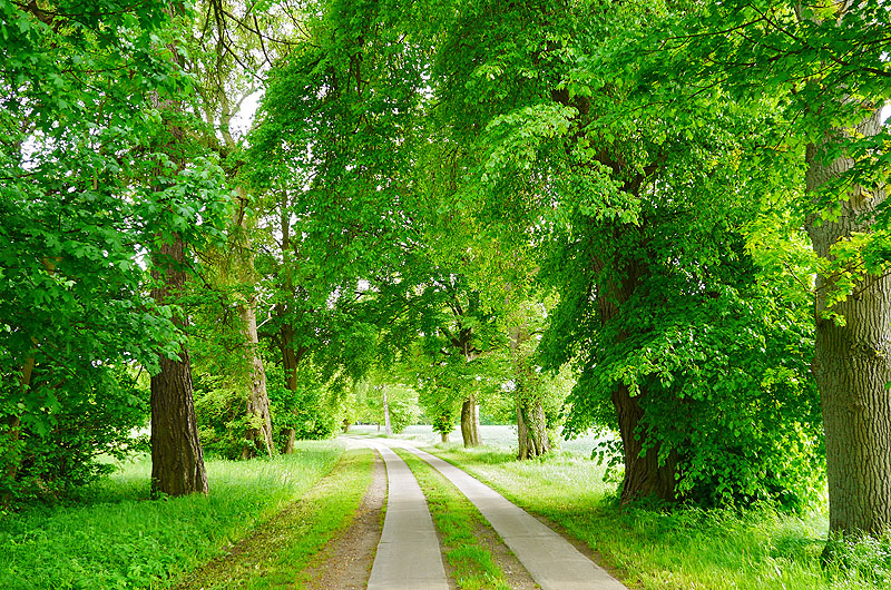 zur &Uuml;bersicht Weg & Steg 5