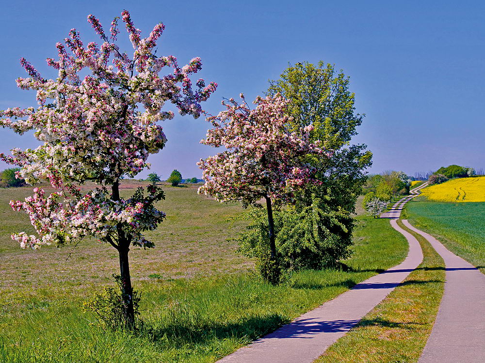 zur &Uuml;bersicht Weg & Steg 6