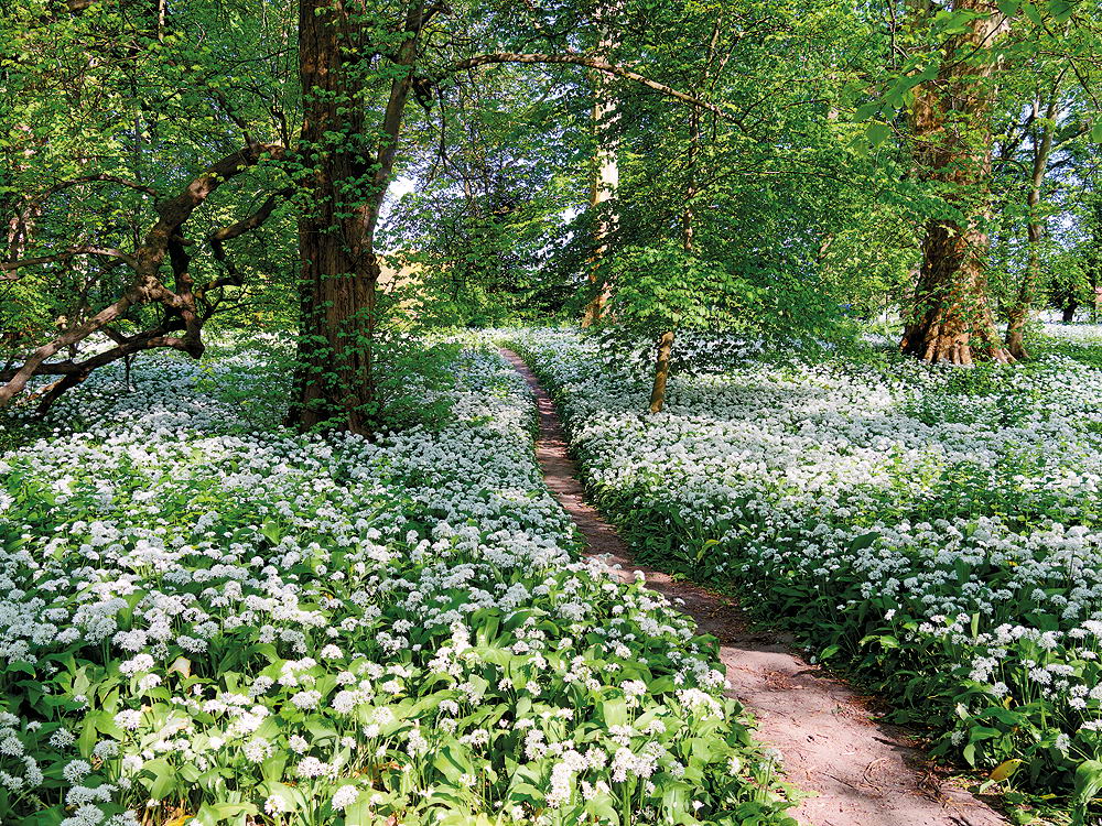 zur &Uuml;bersicht Weg & Steg 6