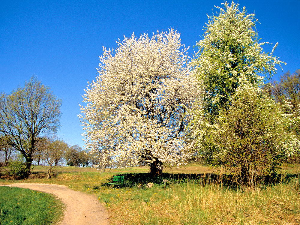zur &Uuml;bersicht Weg & Steg 6