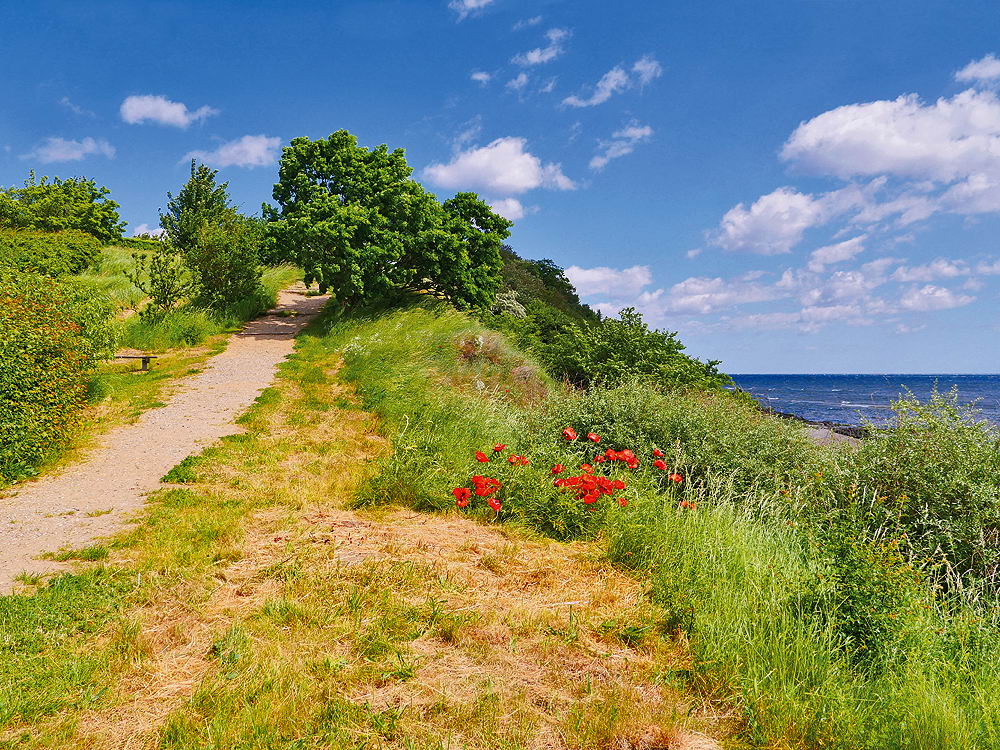 zur &Uuml;bersicht Weg & Steg 6