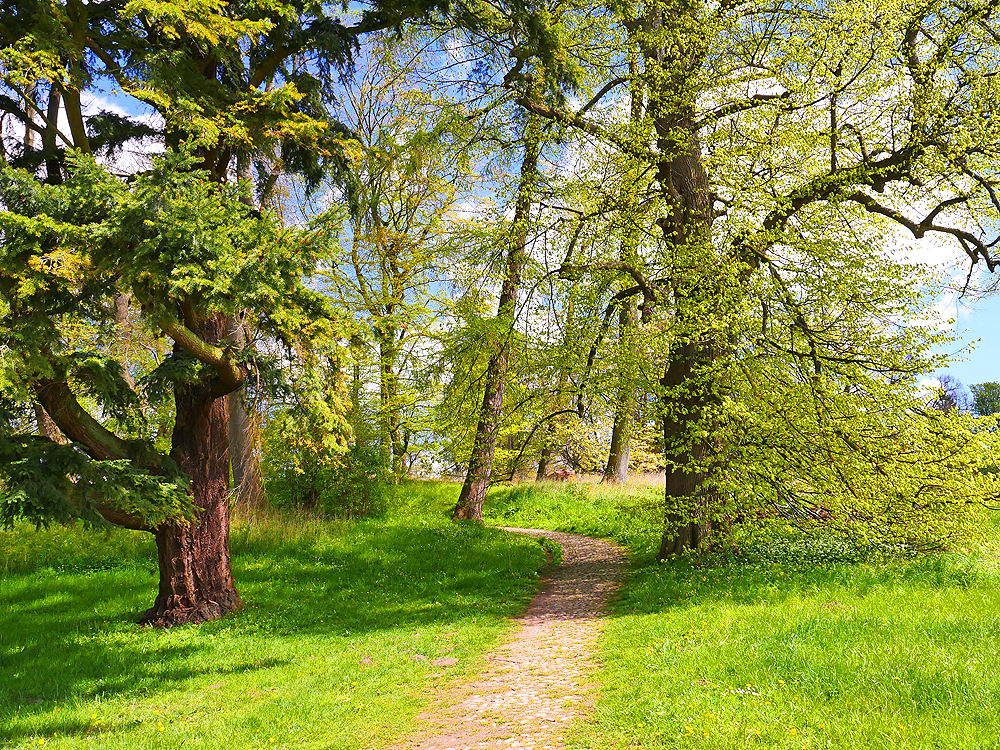 zur &Uuml;bersicht Weg & Steg 6