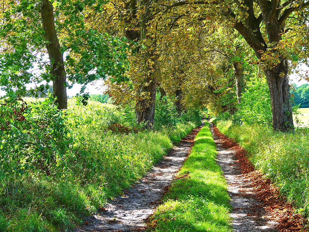 zur &Uuml;bersicht Weg & Steg 6