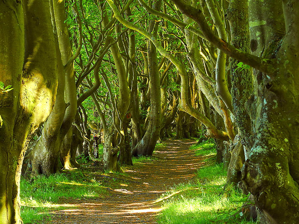 zur &Uuml;bersicht Weg & Steg 6