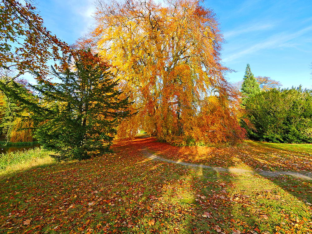 zur &Uuml;bersicht Weg & Steg 7
