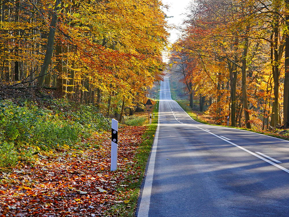 zur &Uuml;bersicht Weg & Steg 7