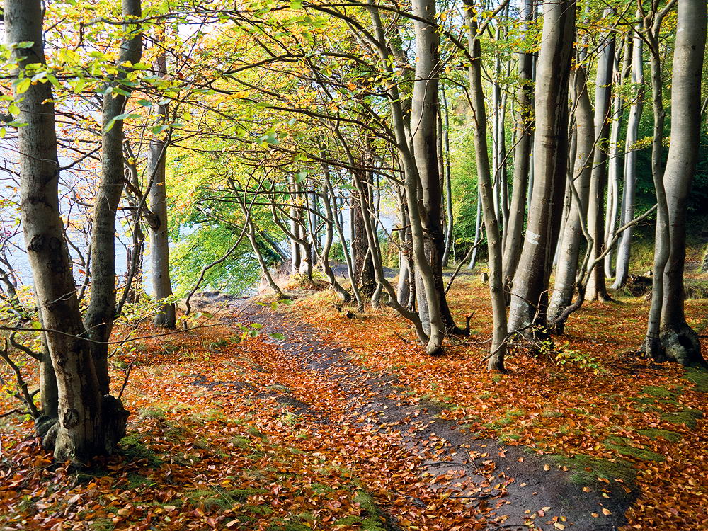 zur &Uuml;bersicht Weg & Steg 7