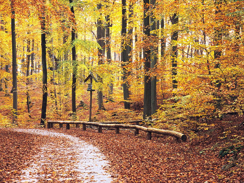 zur &Uuml;bersicht Weg & Steg 7