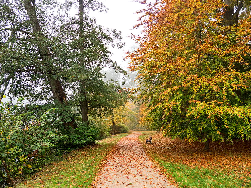 zur &Uuml;bersicht Weg & Steg 7