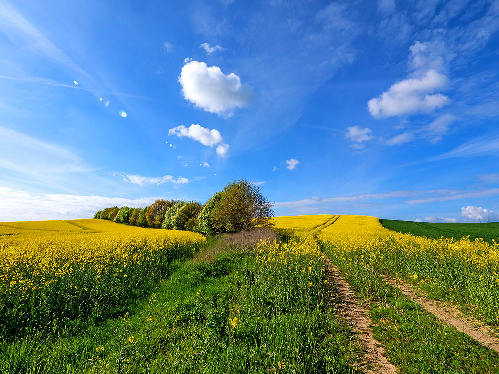 zur &Uuml;bersicht Weg & Steg 8