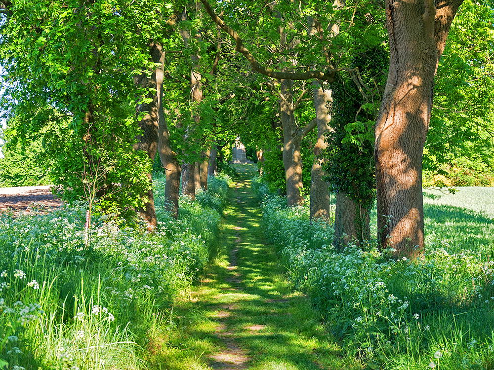 zur &Uuml;bersicht Weg & Steg 8