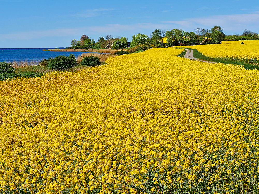 zur &Uuml;bersicht Weg & Steg 8