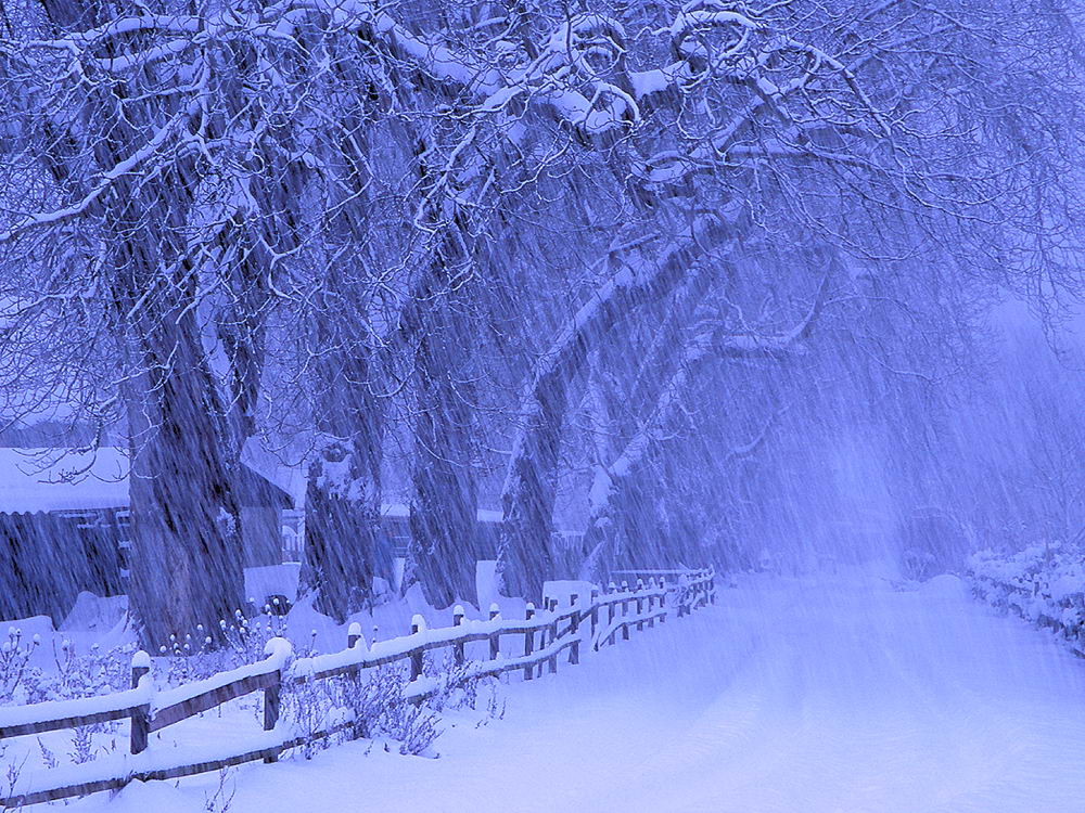 zur &Uuml;bersicht Weg & Steg 8