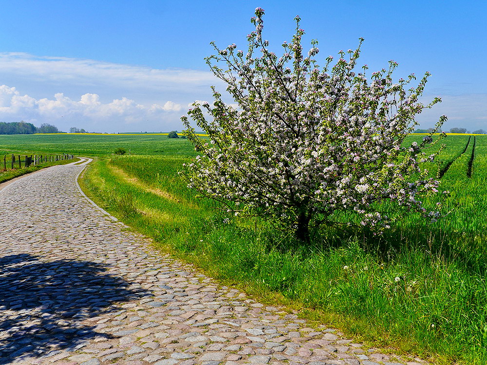 zur &Uuml;bersicht Weg & Steg 9
