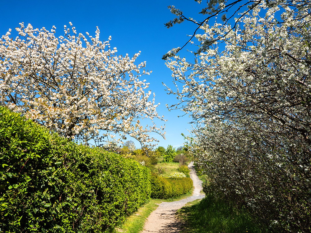 zur &Uuml;bersicht Weg & Steg 9