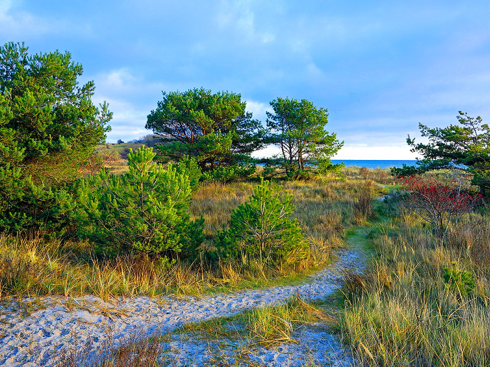 zur &Uuml;bersicht Weg & Steg 9
