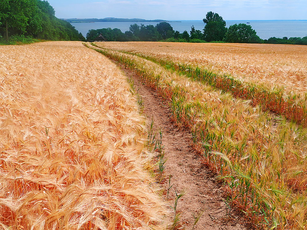 zur &Uuml;bersicht Weg & Steg 10