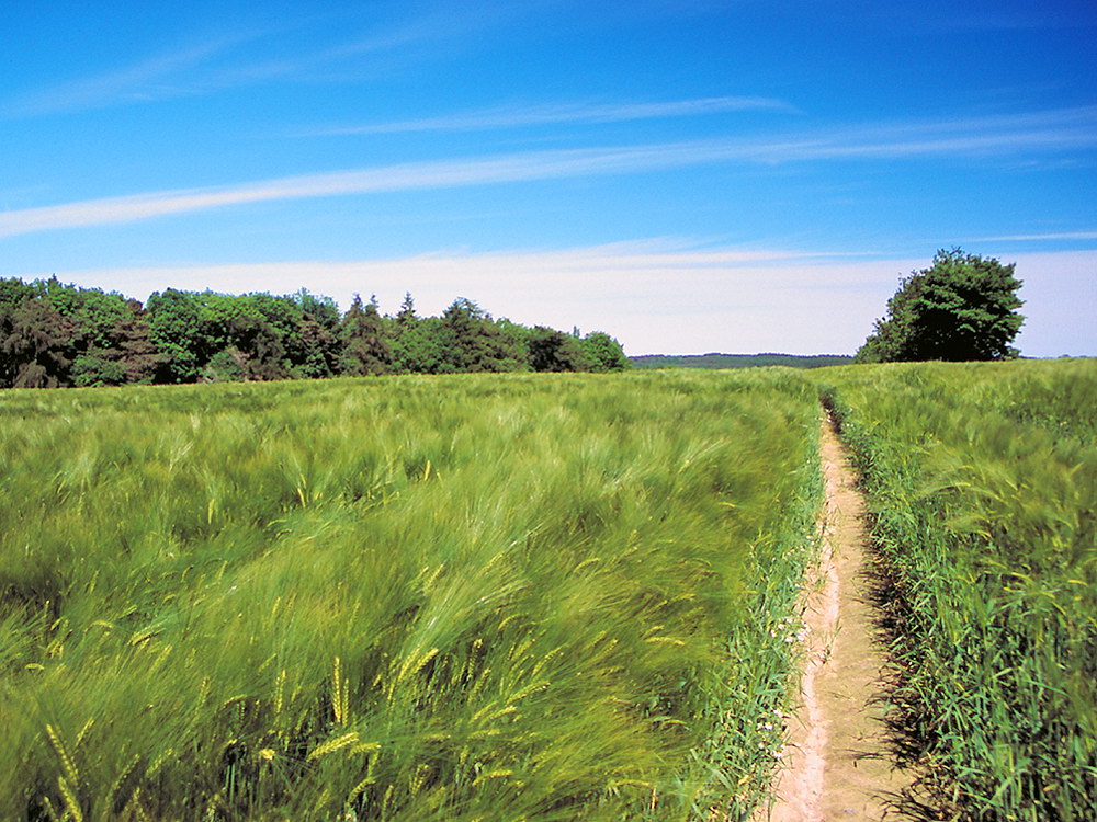zur &Uuml;bersicht Weg & Steg 10